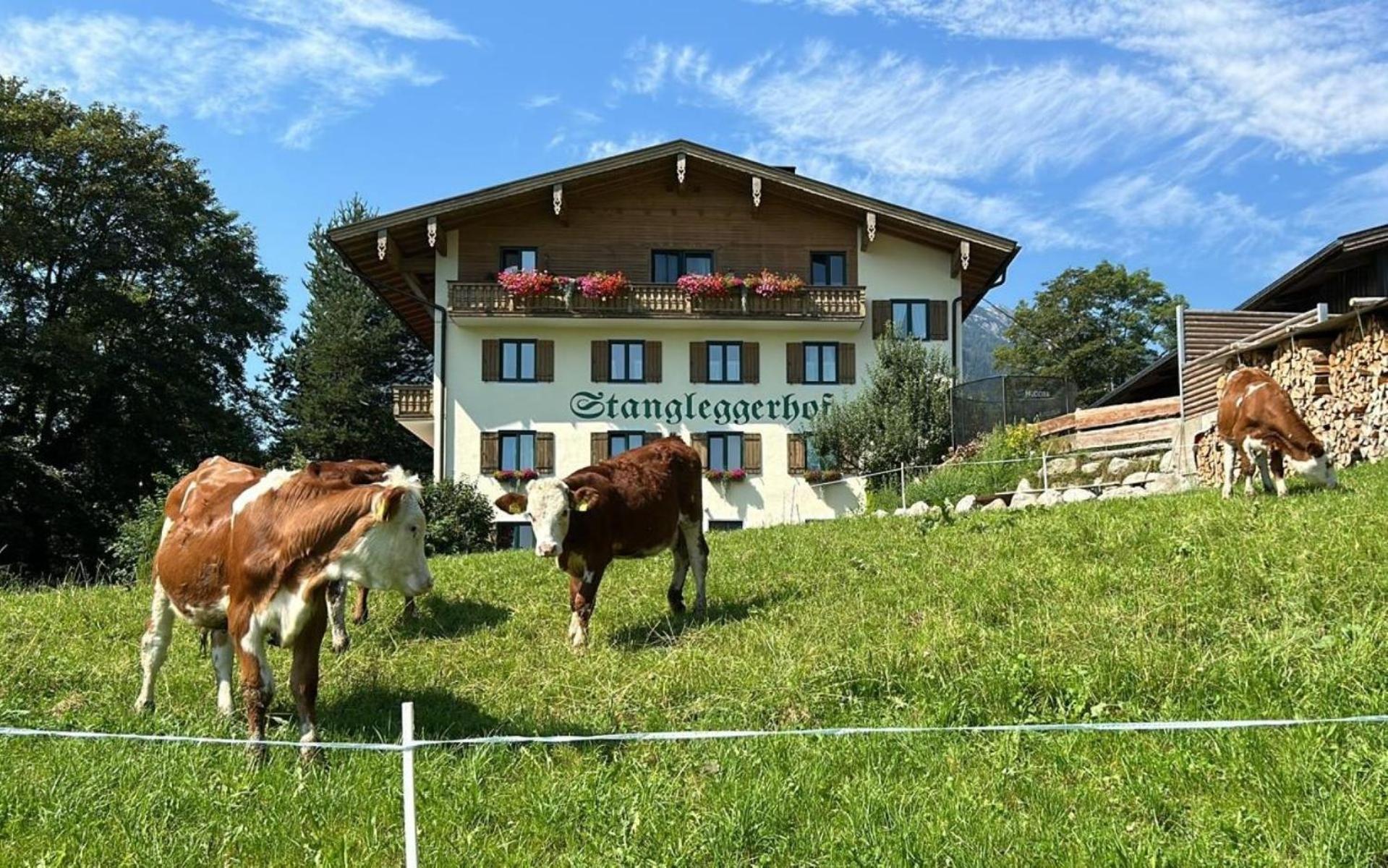 Stangleggerhof Villa Wiesing Eksteriør bilde
